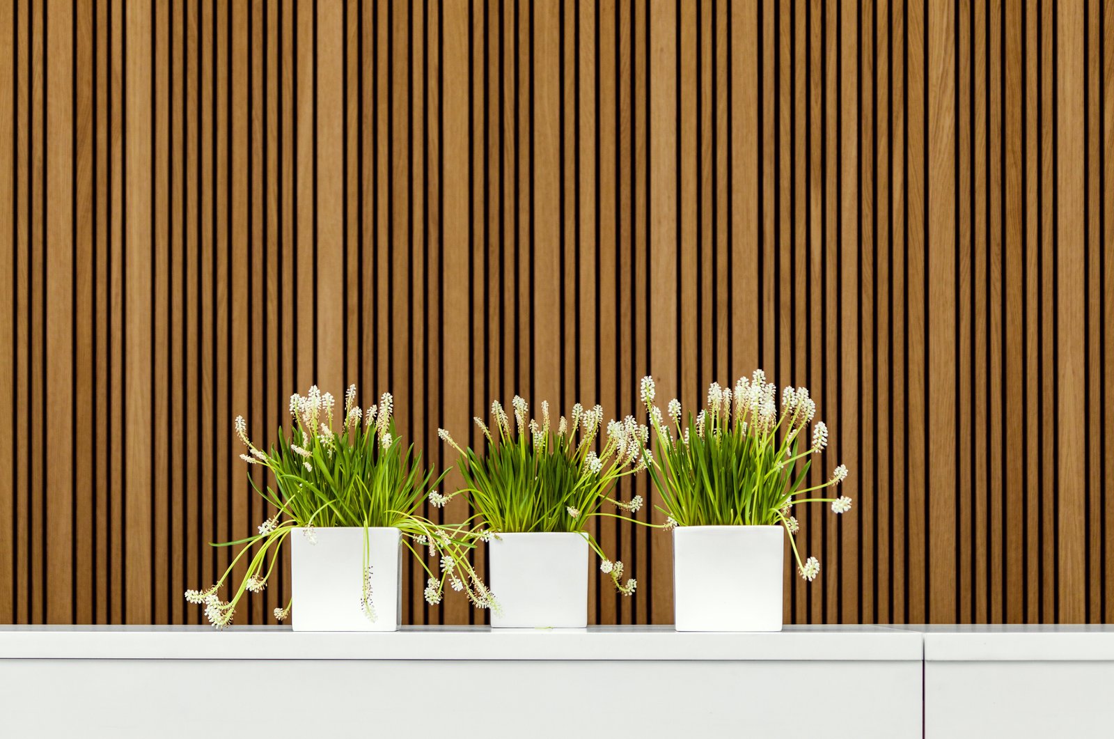Wood-Finish Exterior Panels
